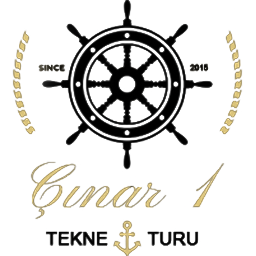 Çınar 1